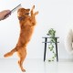 Tüy Açıcı Kedi Köpek Tarağı Tek Taraflı Metal Dişli Evcil Hayvan Bakım Fırçası Tüy Açıcı Kedi Köpek Tarağı Tek Taraflı Metal Dişli Evcil Hayvan Bakım Fırçası