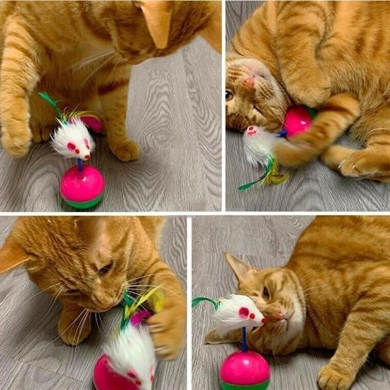 Kedi Oyun Topu Tüylü Fareli Hacı Yatmaz Eğitici Yavru Kedi Fare Kovalama Oyuncağı Kedi Oyun Topu Tüylü Fareli Hacı Yatmaz Eğitici Yavru Kedi Fare Kovalama Oyuncağı