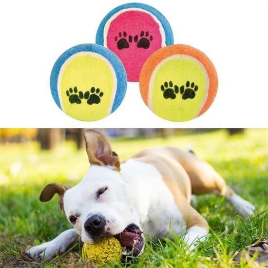 3lü Renkli Desenli Tenis Topu Kedi Köpek Oyuncağı 3lü Renkli Desenli Tenis Topu Kedi Köpek Oyuncağı