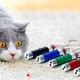 3 Fonksiyonlu Kırmızı Beyaz Işıklı Led Lazer Kedi Köpek Oyuncak Anahtarlık 3 Fonksiyonlu Kırmızı Beyaz Işıklı Led Lazer Kedi Köpek Oyuncak Anahtarlık