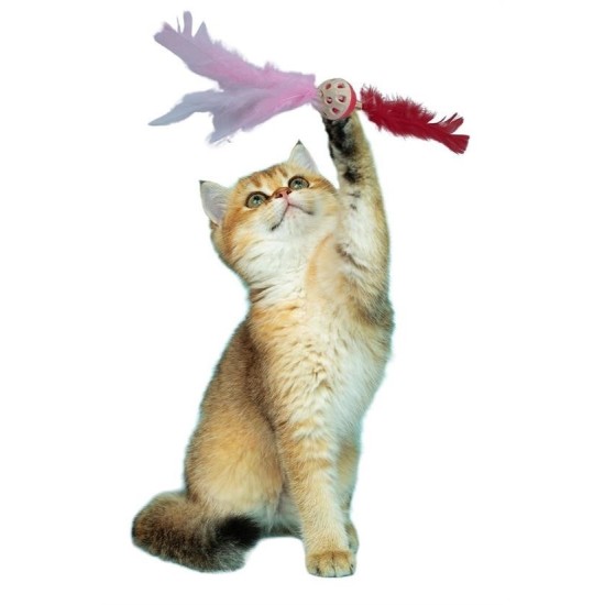 Tüylü Püsküllü Kedi Oyuncağı Dikkat Çekici Renkli Sevimli Evcil Hayvan Oyuncağı Tüylü Püsküllü Kedi Oyuncağı Dikkat Çekici Renkli Sevimli Evcil Hayvan Oyuncağı