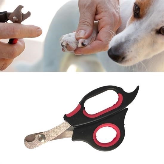 Büyük Irk Köpek Kedi Çelik Uçlu Evcil Hayvan Tırnak Makası Pati Bakım Aleti Ergonomik Kaymaz Büyük Irk Köpek Kedi Çelik Uçlu Evcil Hayvan Tırnak Makası Pati Bakım Aleti Ergonomik Kaymaz