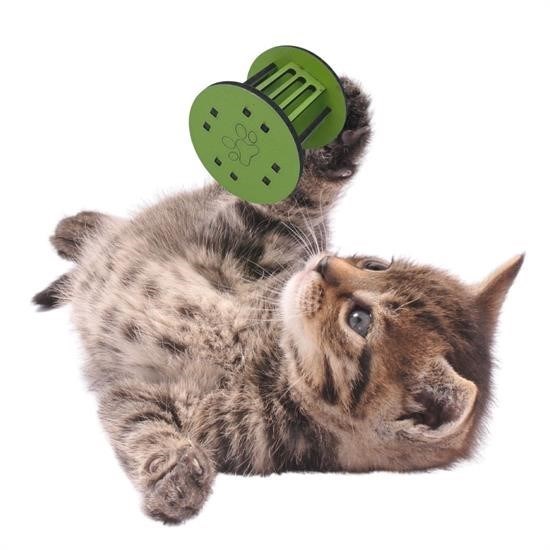 Mini Silindir Eğlenceli Renkli Sağlam Küçük Pati İzi Şekilli Kedi Oyuncağı Mini Silindir Eğlenceli Renkli Sağlam Küçük Pati İzi Şekilli Kedi Oyuncağı