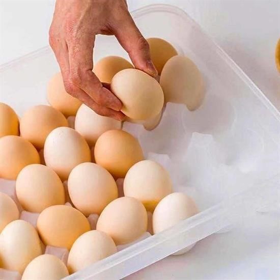 30lu Yumurta Saklama Kabı 30lu Yumurta Saklama Kabı