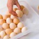 30lu Yumurta Saklama Kabı 30lu Yumurta Saklama Kabı