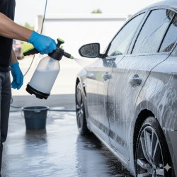 2 Başlıklı Oto Köpük, Su Püskürtme ve Bitki Bakım Sulama Aleti Oto Yıkama Spreyi 2 Litre