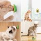 Avokado Model Yapışkanlı Kedi Oyuncağı Yenilebilir Kedi Nanesi Otu Avokado Model Yapışkanlı Kedi Oyuncağı Yenilebilir Kedi Nanesi Otu