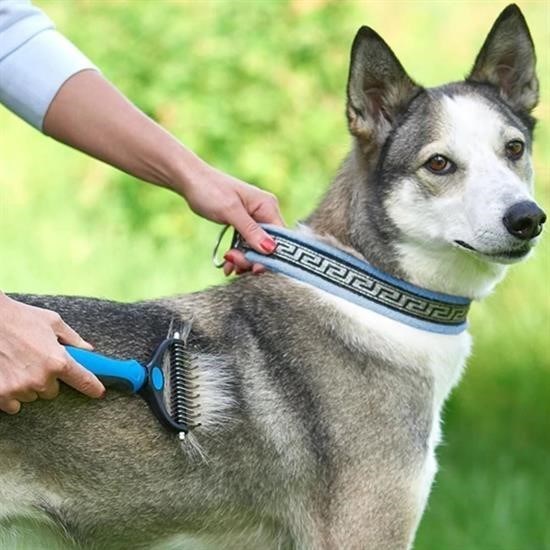 Plastik Saplı Metal Kedi Köpek Bakım Kıtık Tüy Topak Açıcı Tarak Plastik Saplı Metal Kedi Köpek Bakım Kıtık Tüy Topak Açıcı Tarak