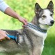 Plastik Saplı Metal Kedi Köpek Bakım Kıtık Tüy Topak Açıcı Tarak Plastik Saplı Metal Kedi Köpek Bakım Kıtık Tüy Topak Açıcı Tarak