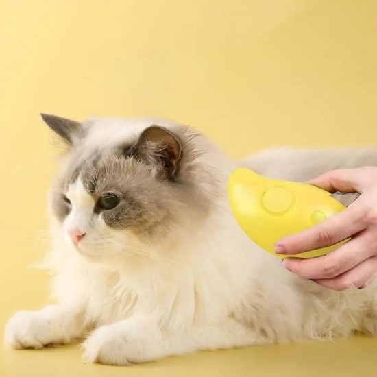 Buharlı Yumuşak Silikon Uçlu Kedi & Köpek Tüy Tarama Tarağı Yıkama Fırçası Buharlı Yumuşak Silikon Uçlu Kedi & Köpek Tüy Tarama Tarağı Yıkama Fırçası