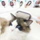 Su Hazneli Kedi ve Köpek Tüyü Toplamama Fırçası Su Hazneli Pet Tarağı Su Hazneli Kedi ve Köpek Tüyü Toplamama Fırçası Su Hazneli Pet Tarağı