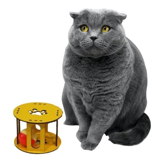 Ahşap Kafes Renkli Toplu Kedi Patisi Desenli Sesli Kedi Oyuncağı Ahşap Kafes Renkli Toplu Kedi Patisi Desenli Sesli Kedi Oyuncağı