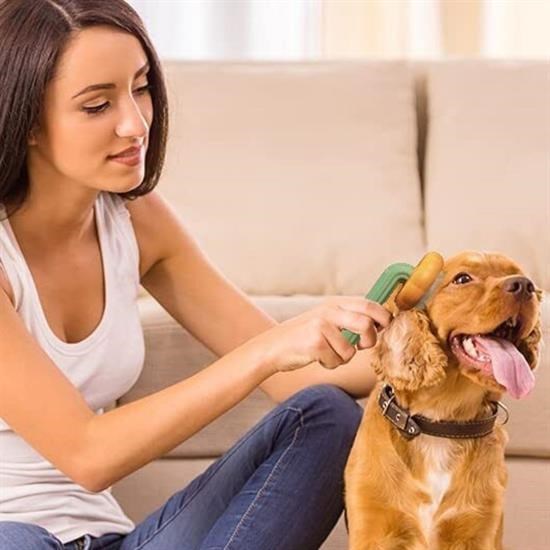 Plastik Yeşil Evcil Hayvan Bakım Pet Fırçası Çok Amaçlı Pet Fırçası Yeşil Plastik Yeşil Evcil Hayvan Bakım Pet Fırçası Çok Amaçlı Pet Fırçası Yeşil