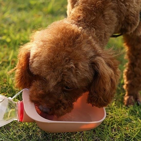 Evcil Hayvan Plastik Yıkanabilir Taşınabilir Su Şişesi Bağlantılı Su Kabı Evcil Hayvan Plastik Yıkanabilir Taşınabilir Su Şişesi Bağlantılı Su Kabı