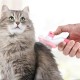 Kedi Köpek Tüy Toplayıcı Kendini Temizleyebilen Ergonomik Saplı Evcil Hayvan Tarağı Pembe Kedi Köpek Tüy Toplayıcı Kendini Temizleyebilen Ergonomik Saplı Evcil Hayvan Tarağı Pembe