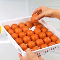 15liYumurta Saklama Kabı