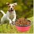 Katlanabilir Kedi Köpek Mama ve Su Kabı Köpek Oyuncağı