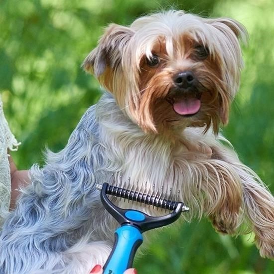 Plastik Saplı Metal Kedi Köpek Bakım Kıtık Tüy Topak Açıcı Tarak Plastik Saplı Metal Kedi Köpek Bakım Kıtık Tüy Topak Açıcı Tarak