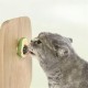 Avokado Model Yapışkanlı Kedi Oyuncağı Yenilebilir Kedi Nanesi Otu Avokado Model Yapışkanlı Kedi Oyuncağı Yenilebilir Kedi Nanesi Otu