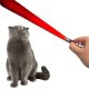 3 Fonksiyonlu Kırmızı Beyaz Işıklı Led Lazer Kedi Köpek Oyuncak Anahtarlık 3 Fonksiyonlu Kırmızı Beyaz Işıklı Led Lazer Kedi Köpek Oyuncak Anahtarlık