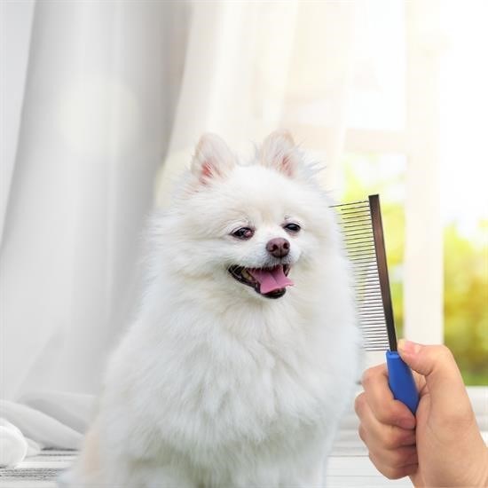 Tüy Açıcı Kedi Köpek Tarağı Tek Taraflı Metal Dişli Evcil Hayvan Bakım Fırçası Tüy Açıcı Kedi Köpek Tarağı Tek Taraflı Metal Dişli Evcil Hayvan Bakım Fırçası