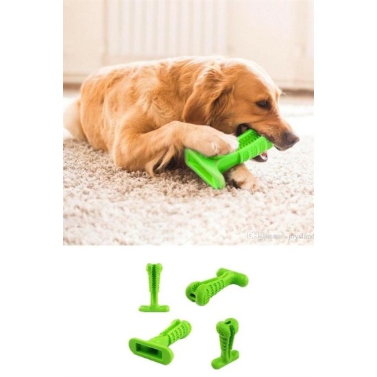 Köpek Diş Temizleyici ve Kaşıyıcı Sağlıklı Küçük Boy Oyuncak Köpek Diş Temizleyici ve Kaşıyıcı Sağlıklı Küçük Boy Oyuncak