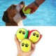 3lü Renkli Desenli Tenis Topu Kedi Köpek Oyuncağı 3lü Renkli Desenli Tenis Topu Kedi Köpek Oyuncağı