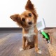 Kedi Köpek Telli Küçük Boy Tüy Bakım Seti Evcil Hayvan Tarama Fırçası Kedi Köpek Telli Küçük Boy Tüy Bakım Seti Evcil Hayvan Tarama Fırçası