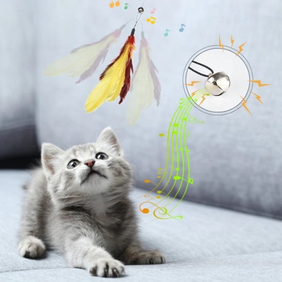 Evcil Hayvanlar İçin Çift Taraflı Pet Fırçası Nemli Tüy Tarama Tarağı Evcil Hayvanlar İçin Çift Taraflı Pet Fırçası Nemli Tüy Tarama Tarağı