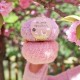 La Mia Alpaca Boucle 50 Gr Pembe El Örgü İpi - L332 - 34387 La Mia Alpaca Boucle 50 Gr Pembe El Örgü İpi - L332 - 34387